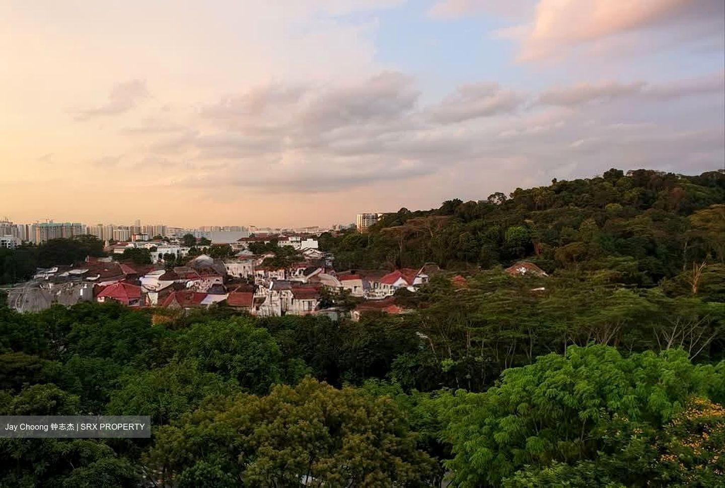 Dunearn Road (D11), Condominium #558943081